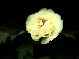 156400E2-5EB7-47E6-9492-9854D68FED52/L0/001