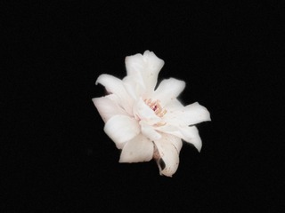 D5A2FD4D-413B-4177-8DCF-2D4238CD8949/L0/001