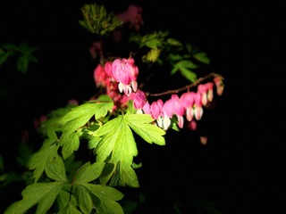 33B23C9A-A068-45DA-9543-D9031B0B46DB/L0/001