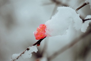 C475E5F5-6411-441B-BDFD-4E98D990004C/L0/001