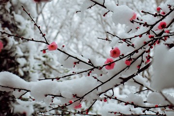 600EF157-E3B4-4EE5-8A91-F7843C69AEA3/L0/001