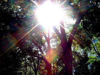 20071026100729[1]