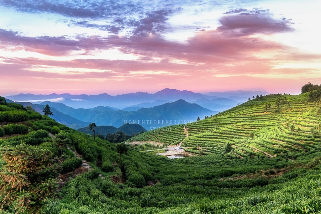 离开喧嚣的城市，山谷的美让人流连忘返。