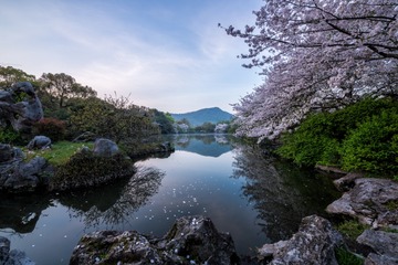 一池春水