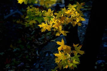 _DSC8977