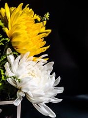 6C4919E6-2BD7-47D6-83BB-3D2C43769E21/L0/001