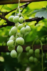 28870F7F-6B69-48FF-B4C6-DDF043F7C6B5/L0/001