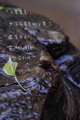 B9CB34DE-9A87-47FE-A2B1-E0B5D2C67DB0/L0/001
