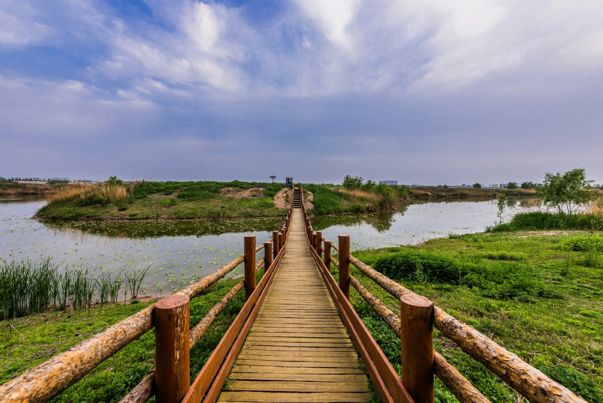 渭河湿地公园