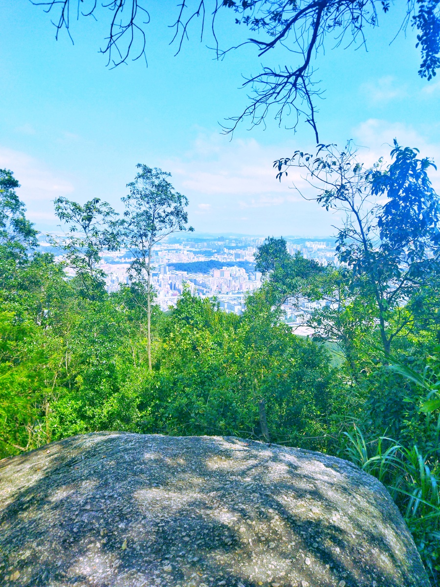 深圳龙华区羊台山森林公园