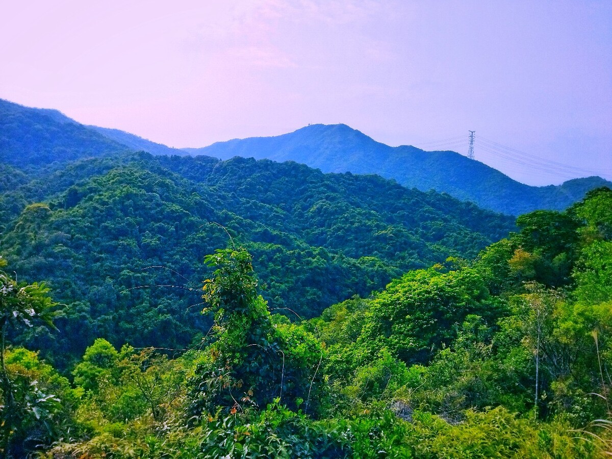 坪山马峦山图片