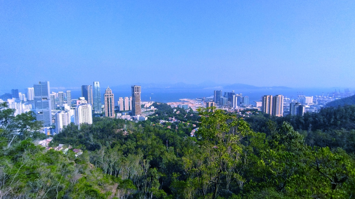 深圳南山公园俯拍南山区城市风光