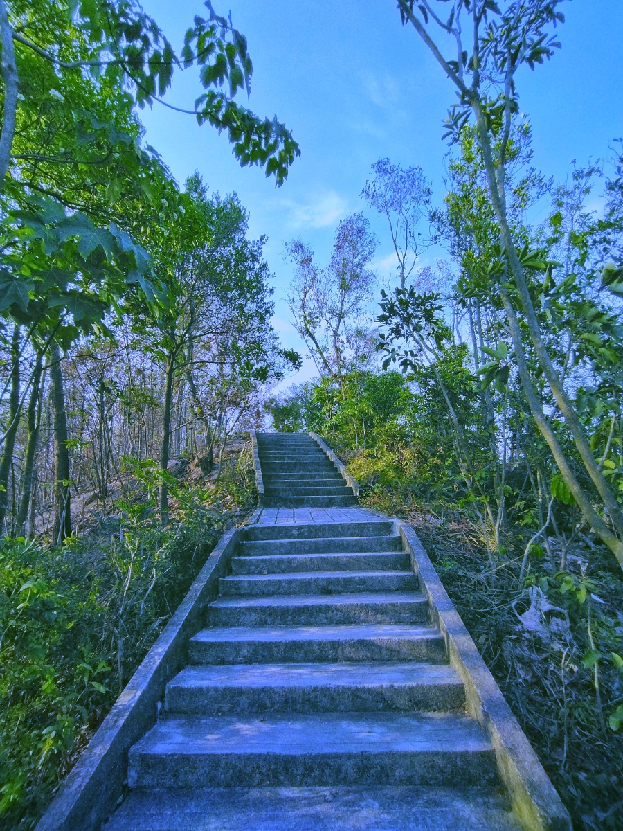深圳南山公园