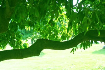 200775