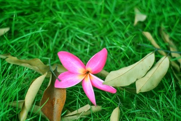 200776