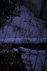 F38E4851-280E-40C4-9413-66ADB8605346/L0/001