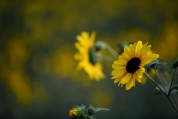 1000561687