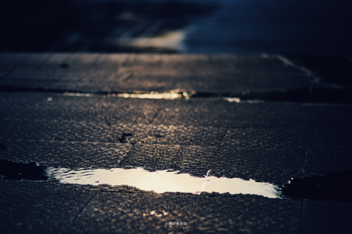 蜻蜓,风筝,月半弯,生活的细节由无数的个体组成. - 总是慢半拍