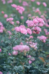B3056558-E8C6-48E3-B43B-53869178E00A/L0/001