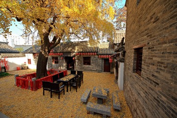 郑家大院 (20)