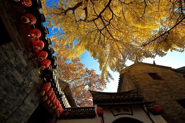 郑家大院 (8)