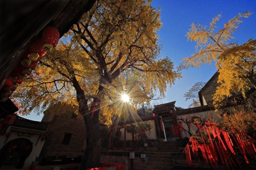 郑家大院 (1)