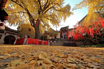 郑家大院 (19)