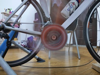 P1850026