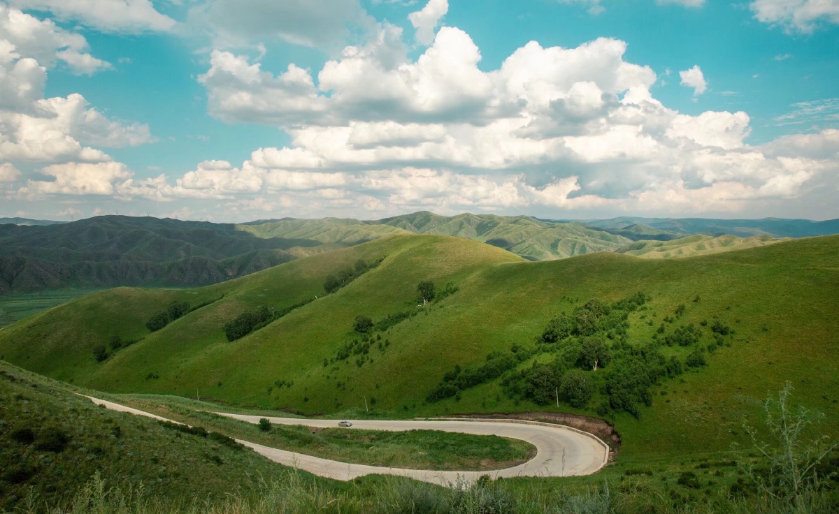 内蒙古阴山以北某草原