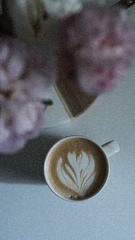 5E40D81C-E6B3-473E-9042-F28DAA66C6B8/L0/001