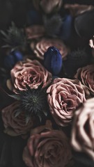 2FA2C8F6-A8CA-4AB5-A476-CD8E525D712F/L0/001