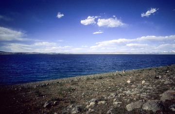 IMG-5000-188239-135