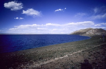 IMG-5000-188240-135