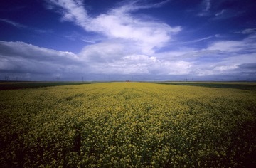 IMG-5000-188352-135