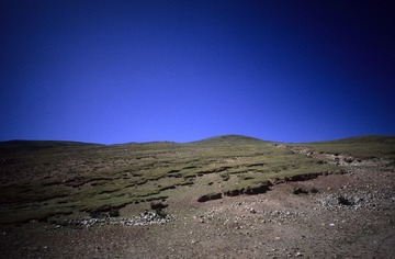 IMG-5000-188223-135