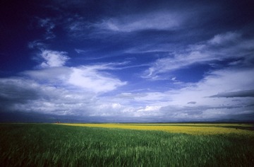 IMG-5000-188356-135