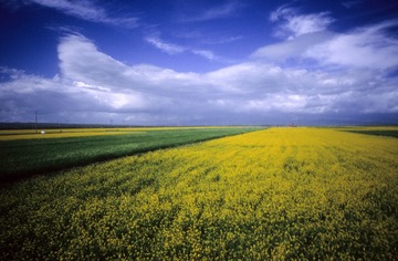 IMG-5000-188357-135