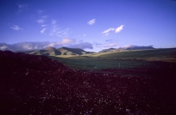 IMG-5000-188362-135