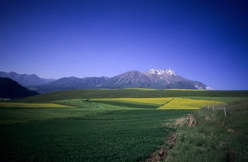 IMG-5000-188364-135