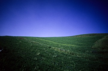 IMG-5000-188366-135