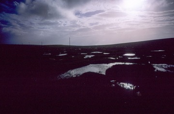 IMG-5000-188395-135