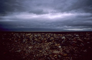 IMG-5000-188396-135
