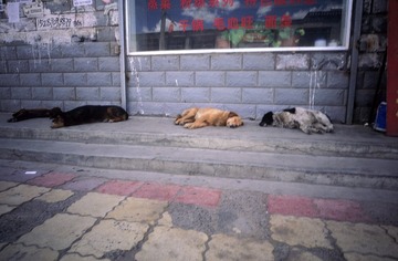 IMG-5000-188241-135