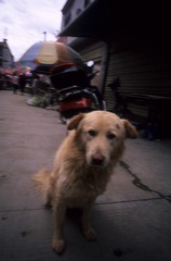 IMG-5000-188280-135