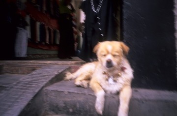 IMG-5000-188325-135