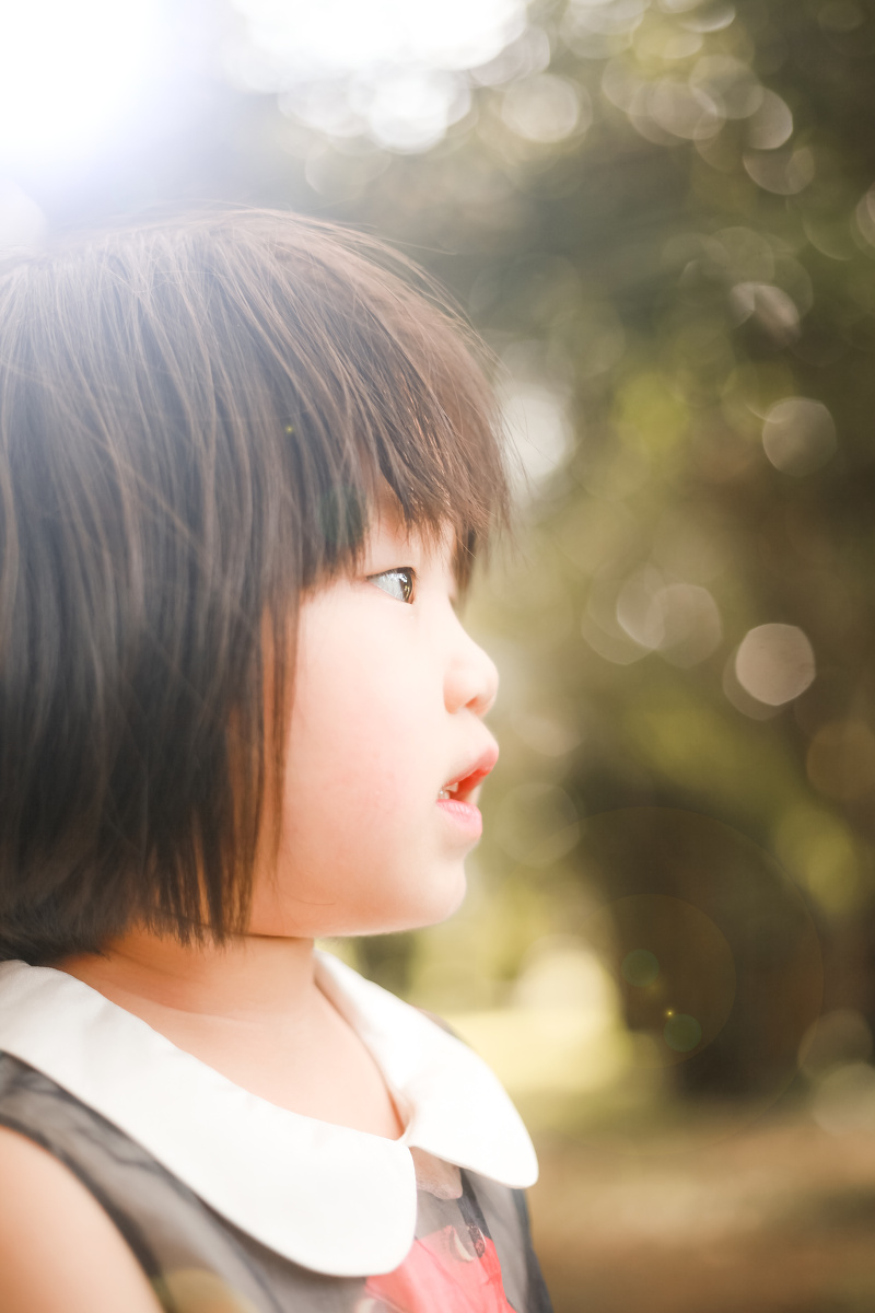 摄影北猫 - 图虫摄影网