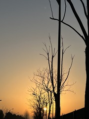 03DB263D-7F5D-461C-8696-DE7BE4F8AF8F/L0/001