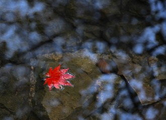4E6BA8C2-55F7-4821-A788-0FC3D9922A10/L0/001