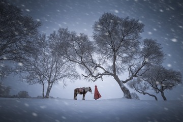 坝上雪