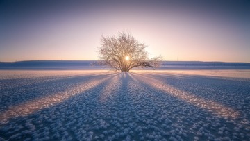 坝上雪花